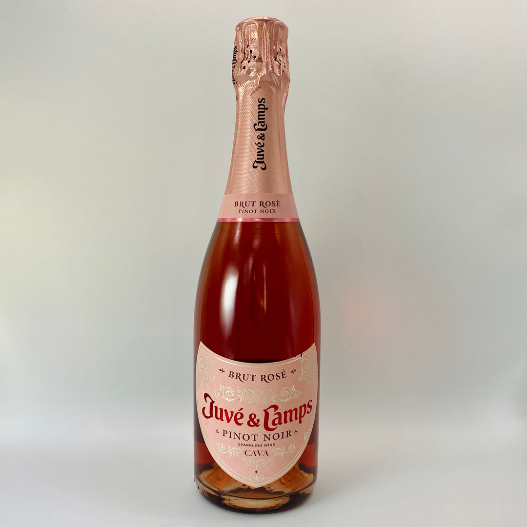 JUVE & CAMPS BRUT ROSE PINOT NOIR CAVA, CATALONIA SPAIN-Happy Wine Calle Ocho